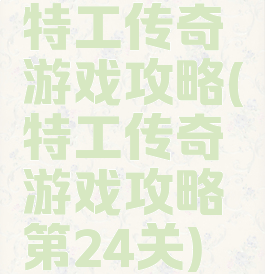特工传奇游戏攻略(特工传奇游戏攻略第24关)