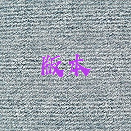版本