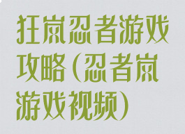 狂岚忍者游戏攻略(忍者岚游戏视频)