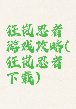 狂岚忍者游戏攻略(狂岚忍者下载)