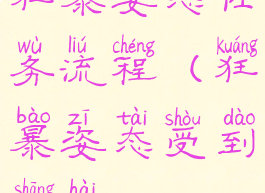 狂暴姿态任务流程(狂暴姿态受到伤害)