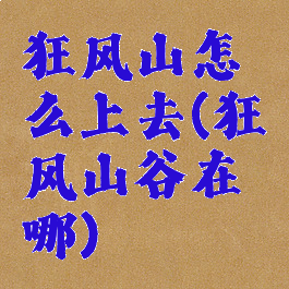 狂风山怎么上去(狂风山谷在哪)