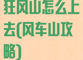 狂风山怎么上去(风车山攻略)