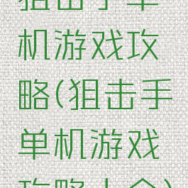 狙击手单机游戏攻略(狙击手单机游戏攻略大全)