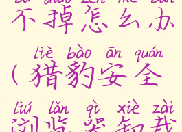 猎豹安全浏览器卸载不掉怎么办(猎豹安全浏览器卸载有什么影响)
