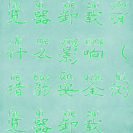 猎豹安全浏览器卸载有什么影响(猎豹安全浏览器卸载不掉)