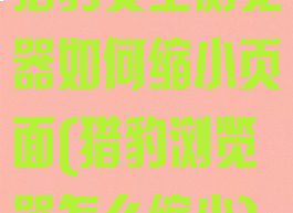 猎豹安全浏览器如何缩小页面(猎豹浏览器怎么缩小)