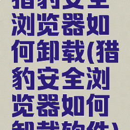 猎豹安全浏览器如何卸载(猎豹安全浏览器如何卸载软件)