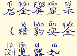 猎豹安全浏览器怎么开启全屏显示(猎豹安全浏览器如何缩小页面)