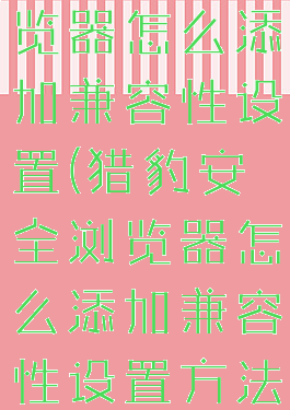 猎豹安全浏览器怎么添加兼容性设置(猎豹安全浏览器怎么添加兼容性设置方法)