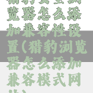 猎豹安全浏览器怎么添加兼容性设置(猎豹浏览器怎么添加兼容模式网站)