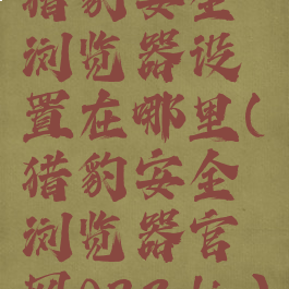 猎豹安全浏览器设置在哪里(猎豹安全浏览器官网023dir)