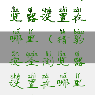 猎豹安全浏览器设置在哪里(猎豹安全浏览器设置在哪里设置)