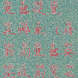 猎豹安全浏览器设置在哪里(猎豹浏览器安全级别怎么设置)