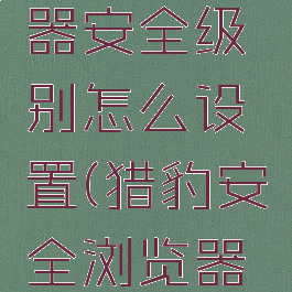 猎豹浏览器安全级别怎么设置(猎豹安全浏览器怎么升级)