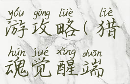 猎魂觉醒手游攻略(猎魂觉醒端游)