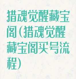 猎魂觉醒藏宝阁(猎魂觉醒藏宝阁买号流程)