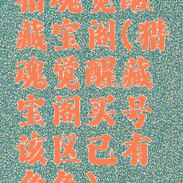 猎魂觉醒藏宝阁(猎魂觉醒藏宝阁买号该区已有角色)