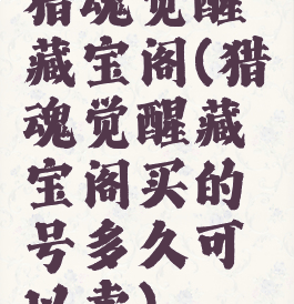 猎魂觉醒藏宝阁(猎魂觉醒藏宝阁买的号多久可以卖)