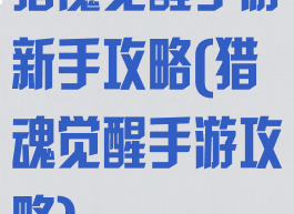 猎魔觉醒手游新手攻略(猎魂觉醒手游攻略)