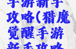 猎魔觉醒手游新手攻略(猎魔觉醒手游新手攻略视频)