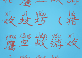 猎鹰空战游戏技巧(猎鹰空战游戏技巧攻略)