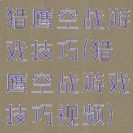 猎鹰空战游戏技巧(猎鹰空战游戏技巧视频)