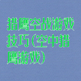 猎鹰空战游戏技巧(空中猎鹰游戏)