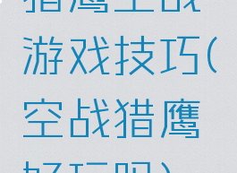 猎鹰空战游戏技巧(空战猎鹰好玩吗)