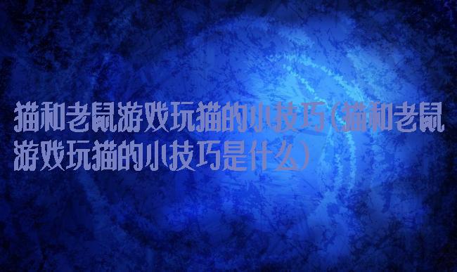 猫和老鼠游戏玩猫的小技巧(猫和老鼠游戏玩猫的小技巧是什么)