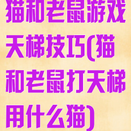 猫和老鼠游戏天梯技巧(猫和老鼠打天梯用什么猫)