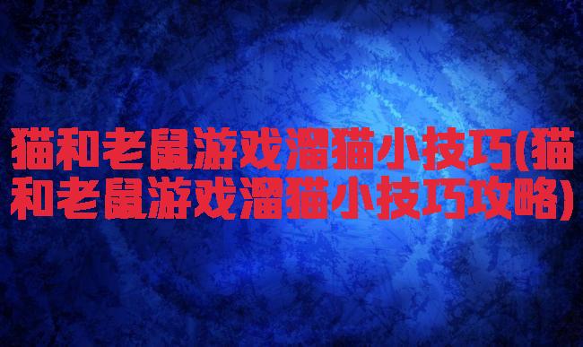 猫和老鼠游戏溜猫小技巧(猫和老鼠游戏溜猫小技巧攻略)