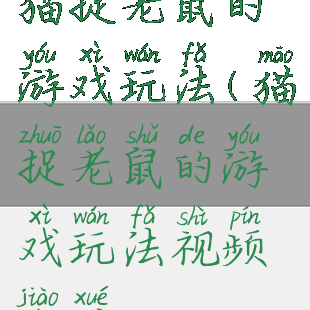 猫捉老鼠的游戏玩法(猫捉老鼠的游戏玩法视频教学)