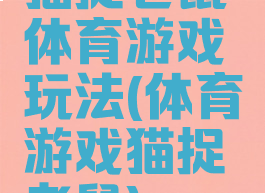 猫捉老鼠体育游戏玩法(体育游戏猫捉老鼠)