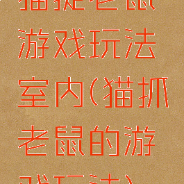猫捉老鼠游戏玩法室内(猫抓老鼠的游戏玩法)
