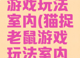 猫捉老鼠游戏玩法室内(猫捉老鼠游戏玩法室内版)