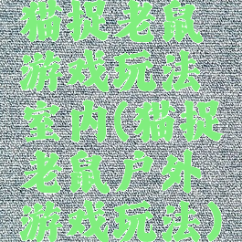 猫捉老鼠游戏玩法室内(猫捉老鼠户外游戏玩法)