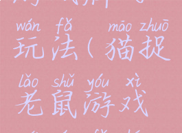 猫捉老鼠游戏牌的玩法(猫捉老鼠游戏牌玩法和规则)