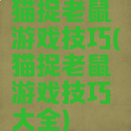 猫捉老鼠游戏技巧(猫捉老鼠游戏技巧大全)