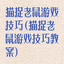 猫捉老鼠游戏技巧(猫捉老鼠游戏技巧教案)