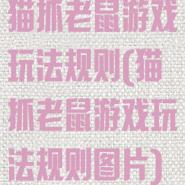 猫抓老鼠游戏玩法规则(猫抓老鼠游戏玩法规则图片)