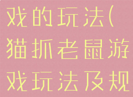 猫抓老鼠游戏的玩法(猫抓老鼠游戏玩法及规则)