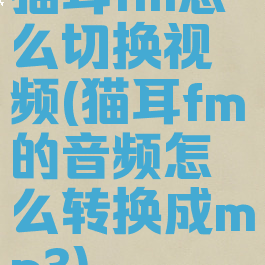 猫耳fm怎么切换视频(猫耳fm的音频怎么转换成mp3)