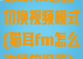 猫耳fm怎么切换视频模式(猫耳fm怎么改播放设置)