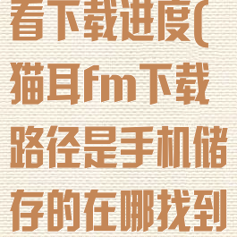 猫耳fm怎么看下载进度(猫耳fm下载路径是手机储存的在哪找到)