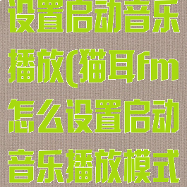 猫耳fm怎么设置启动音乐播放(猫耳fm怎么设置启动音乐播放模式)