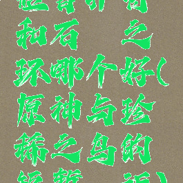 短暂护符和石楠之环哪个好(原神与珍稀之鸟的短暂邂逅)