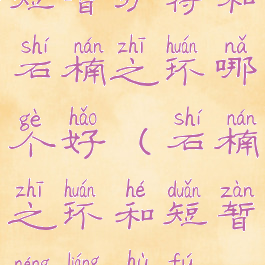 短暂护符和石楠之环哪个好(石楠之环和短暂能量护符)