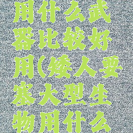 矮人要塞大型生物用什么武器比较好用(矮人要塞大型生物用什么武器比较好用呢)