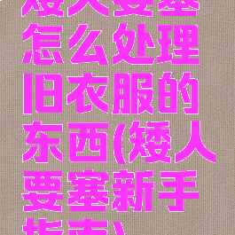 矮人要塞怎么处理旧衣服的东西(矮人要塞新手指南)